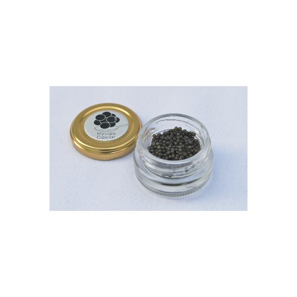 ふるさと納税 日向市 日向キャビア(Hyuga Caviar)10g【箱なし】 (冷凍・フレッシュキャビア)