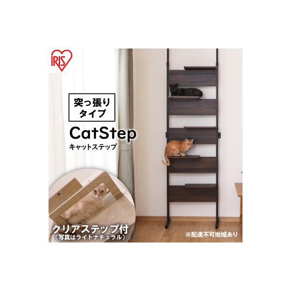 ふるさと納税 大河原町 キャットステップ ウォールナット CATS-68