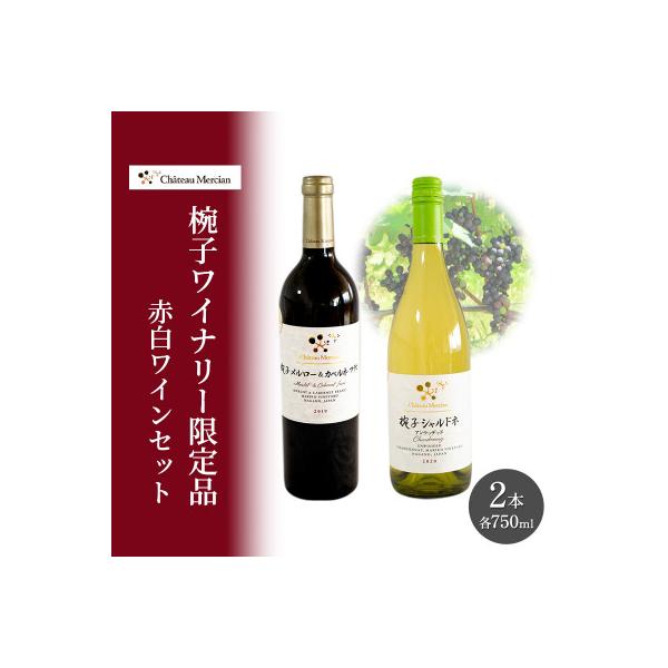 ふるさと納税 上田市 ワイン 飲み比べセット 750ml 2本セット 赤ワイン
