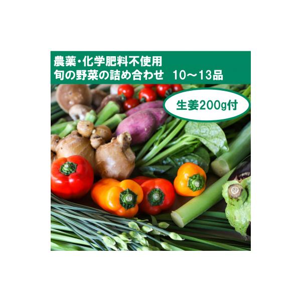■お礼品詳細　・配送種別：冷蔵便■お申し込み・配送・その他　・発送時期：2026-01-13より順次発送 ※生産・天候・交通等の事情により遅れる場合があります。（お届け時間帯指定可）　・申込受付期間：通年　・配達外のエリア：離島　・寄付証明...