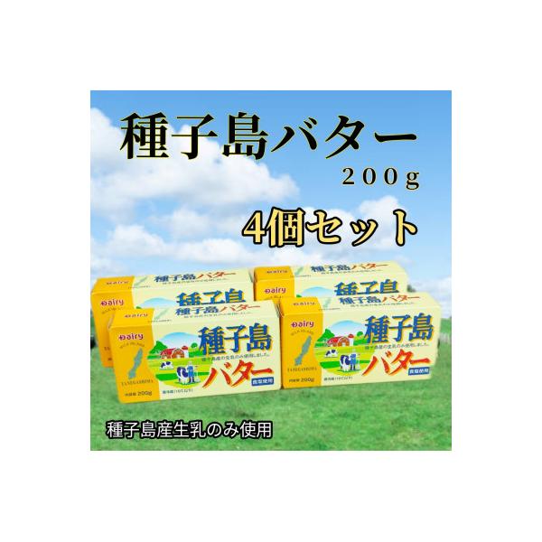 ふるさと納税 西之表市 種子島バター4個セット