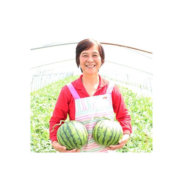 ■お礼品詳細■お申し込み・配送・その他　・発送時期：2026-04-06〜2026-05-31（お届け時間帯指定可）　・申込受付期間：2025-09-01〜2026-05-10　・配達外のエリア：　・寄付証明書の送付時期目安：申込完了日から...