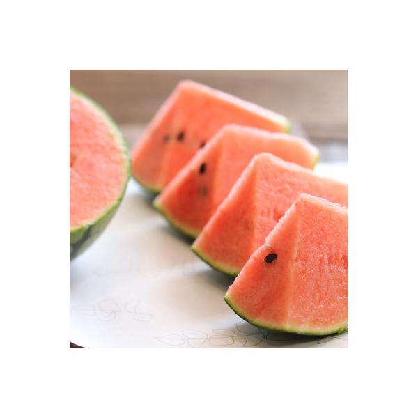 ■お礼品詳細　・配送種別：通常■お申し込み・配送・その他　・発送時期：2026-05-11〜2026-06-15（お届け時間帯指定可）　・申込受付期間：2025-12-15〜2026-05-31　・配達外のエリア：　・寄付証明書の送付時期目...