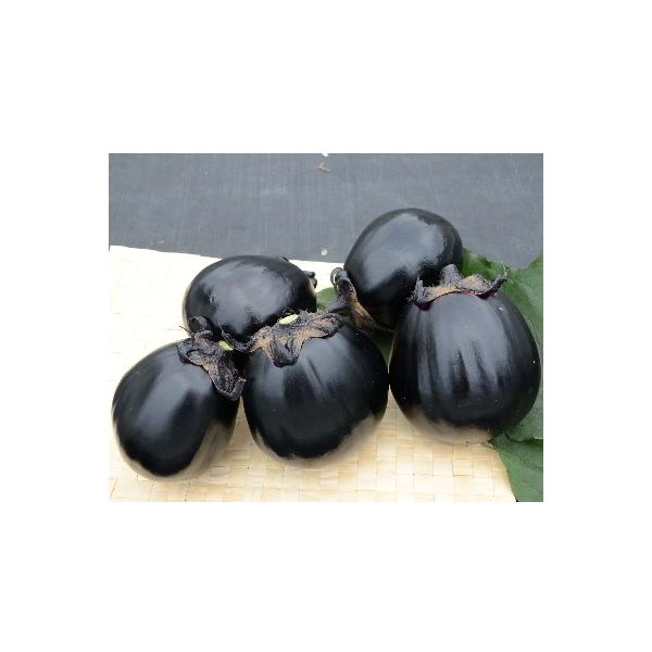 ■お礼品詳細　・配送種別：通常■お申し込み・配送・その他　・発送時期：2026-07-24〜2026-10-09（お届け時間帯指定可）　・申込受付期間：〜2026-09-15　・配達外のエリア：離島、北海道、沖縄県　・寄付証明書の送付時期目...