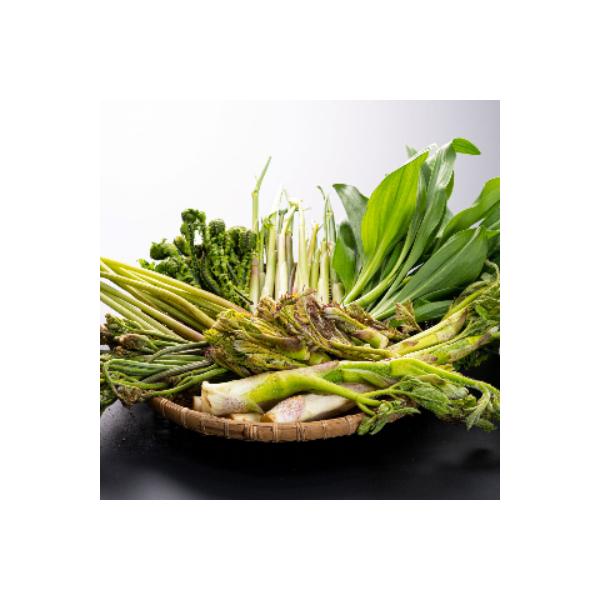 ■お礼品詳細　・配送種別：冷蔵便■お申し込み・配送・その他　・発送時期：2026-04-06〜2026-04-30（お届け時間帯指定可）　・申込受付期間：〜2026-04-20　・配達外のエリア：離島　・寄付証明書の送付時期目安：申込完了日...