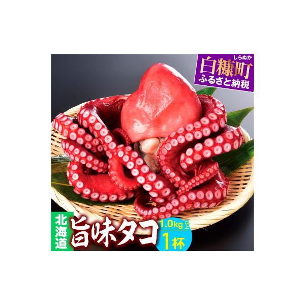 ふるさと納税 白糠町 北海道旨味たこ (1.0kg以上×1杯) たこブツもオススメ