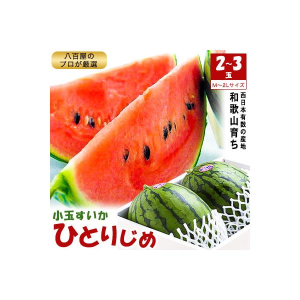 ■お礼品詳細　・配送種別：通常■お申し込み・配送・その他　・発送時期：2026-06-01〜2026-07-15（お届け時間帯指定可）　・申込受付期間：〜2026-07-11　・配達外のエリア：　・寄付証明書の送付時期目安：申込完了日から２...