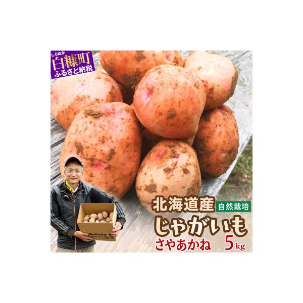 ■お礼品詳細　・配送種別：通常■お申し込み・配送・その他　・発送時期：お申し込み後1〜2週間程度で順次発送予定（お届け時間帯指定可）　・申込受付期間：〜2026-03-31　・配達外のエリア：　・寄付証明書の送付時期目安：入金確認後3週間程...