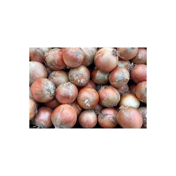 ■お礼品詳細　・配送種別：冷蔵便■お申し込み・配送・その他　・発送時期：お申し込み後1〜2週間程度で順次発送予定（お届け時間帯指定可）　・申込受付期間：〜2026-03-10　・配達外のエリア：離島　・寄付証明書の送付時期目安：申込完了日か...