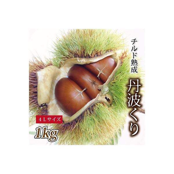 ふるさと納税 京丹波町 チルド熟成 丹波栗4L 1kg (京都京丹波町産 丹波栗)