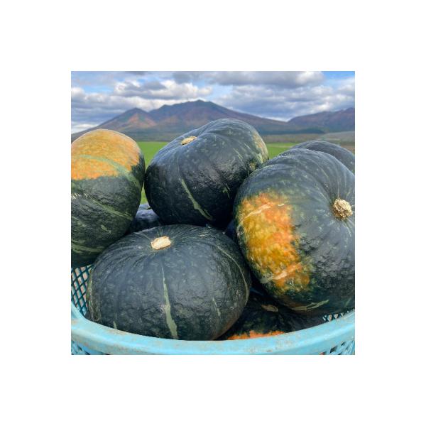 ■お礼品詳細　・配送種別：通常■お申し込み・配送・その他　・発送時期：2026-10-15〜2026-11-10（お届け時間帯指定可）　・申込受付期間：2025-11-01〜2026-10-14　・配達外のエリア：　・寄付証明書の送付時期目...