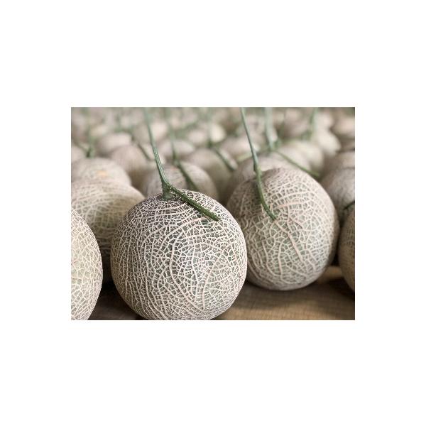 ■お礼品詳細　・配送種別：通常■お申し込み・配送・その他　・発送時期：2026-07-05〜2026-07-15（お届け時間帯指定可）　・申込受付期間：〜2026-06-20　・配達外のエリア：　・寄付証明書の送付時期目安：申込完了日から２...