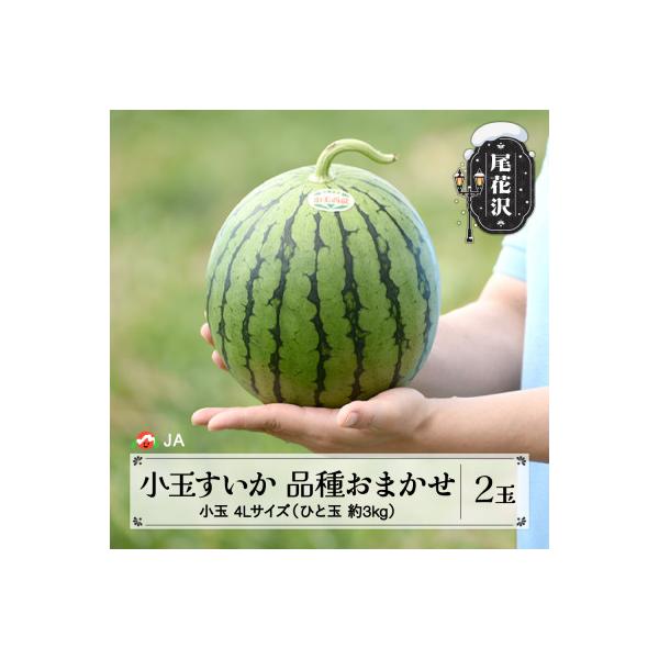 ■お礼品詳細　・配送種別：通常■お申し込み・配送・その他　・発送時期：2026-07-10〜2026-07-31（お届け時間帯指定可）　・申込受付期間：〜2026-06-30　・配達外のエリア：離島、沖縄県　・寄付証明書の送付時期目安：申込...