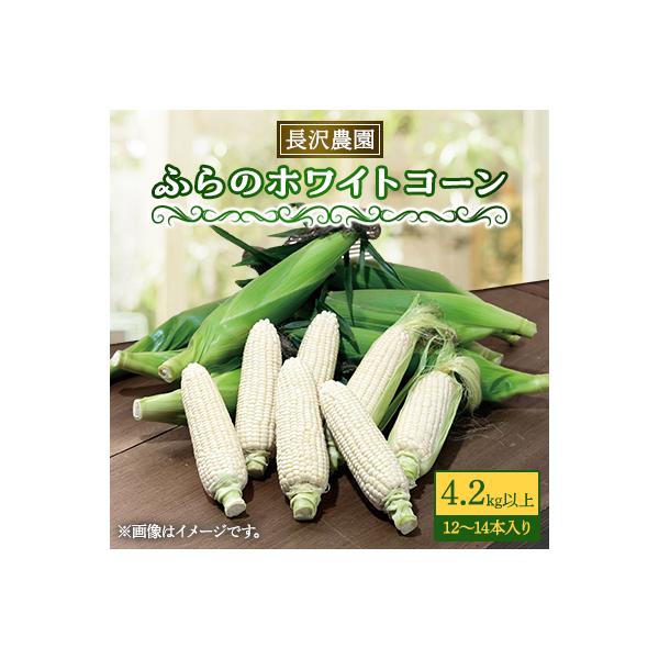 ■お礼品詳細　・配送種別：冷蔵便■お申し込み・配送・その他　・発送時期：2026-07-15〜2026-08-06（お届け時間帯指定可）　・申込受付期間：〜2026-07-17　・配達外のエリア：離島　・寄付証明書の送付時期目安：申込完了日...