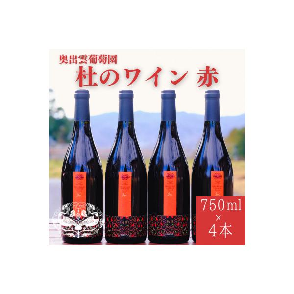ふるさと納税 雲南市 杜のワイン赤 750ml×4本 辛口ワイン 赤ワイン4本