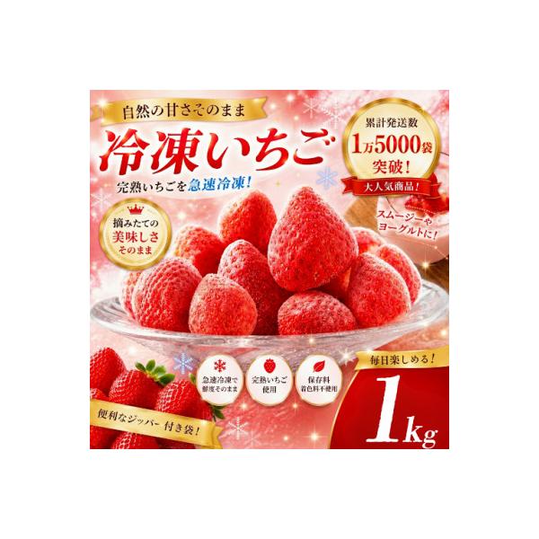 ふるさと納税 南伊豆町 完熟冷凍いちご 1Kg BabyBerryFarm