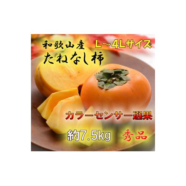 ふるさと納税 九度山町 【2026年発送】JAわかやま(紀北地域)のたねなし柿 秀品 約7.5Kg L〜4Lサイズ