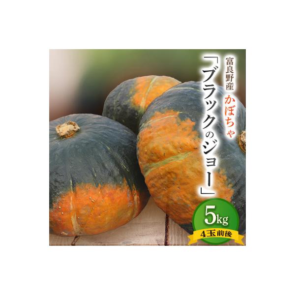 ■お礼品詳細　・配送種別：通常■お申し込み・配送・その他　・発送時期：2026-10-06〜2026-10-31（お届け時間帯指定可）　・申込受付期間：〜2026-10-08　・配達外のエリア：　・寄付証明書の送付時期目安：申込完了日から１...