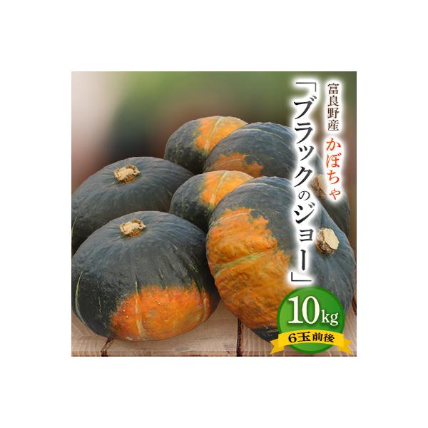 ■お礼品詳細　・配送種別：通常■お申し込み・配送・その他　・発送時期：2026-10-06〜2026-10-31（お届け時間帯指定可）　・申込受付期間：〜2026-10-08　・配達外のエリア：　・寄付証明書の送付時期目安：申込完了日から１...