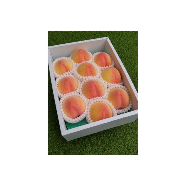 ■お礼品詳細　・配送種別：冷蔵便■お申し込み・配送・その他　・発送時期：2026-06-22〜2026-07-31（お届け時間帯指定可）　・申込受付期間：〜2026-07-20　・配達外のエリア：離島、北海道、沖縄県　・寄付証明書の送付時期...