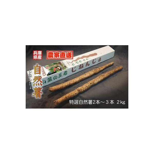 ■お礼品詳細　・配送種別：通常■お申し込み・配送・その他　・発送時期：2025-11-27〜2026-04-16（お届け時間帯指定可）　・申込受付期間：〜2026-03-26　・配達外のエリア：　・寄付証明書の送付時期目安：申込完了日から２...