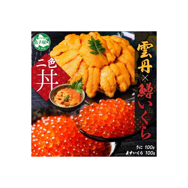 ふるさと納税 弟子屈町 【のし付】ウニ 100g 鱒いくら醤油漬け 100g 2種 海鮮丼 北海道 弟子屈町 3618