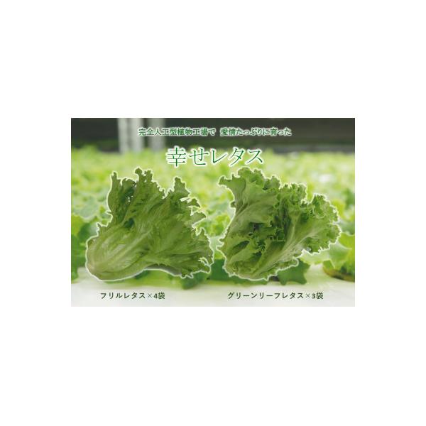 ■お礼品詳細　・配送種別：冷蔵便■お申し込み・配送・その他　・発送時期：2026-02-03より順次発送 ※生産・天候・交通等の事情により遅れる場合があります。（お届け時間帯指定可）　・申込受付期間：2022-08-01〜　・配達外のエリア...