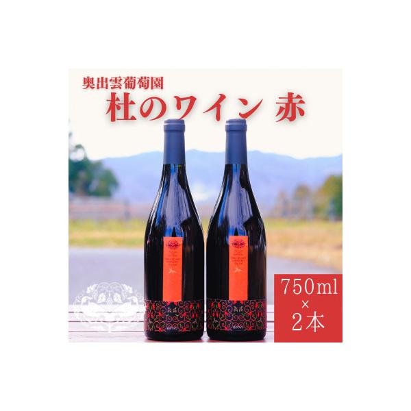 新品未開封 赤ワイン2本 ふるさと納税 雲南市 杜のワイン赤 750ml×2本 辛口ワイン 赤ワイン2本