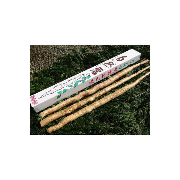 ■お礼品詳細　・配送種別：通常■お申し込み・配送・その他　・発送時期：2025-11-10〜2026-02-28（お届け時間帯指定可）　・申込受付期間：〜2026-01-31　・配達外のエリア：　・寄付証明書の送付時期目安：申込完了日から2...