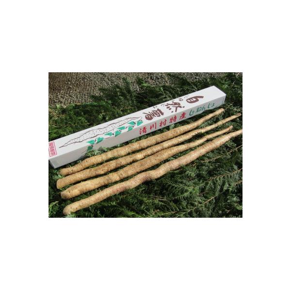 ■お礼品詳細　・配送種別：通常■お申し込み・配送・その他　・発送時期：2025-11-10〜2026-02-28（お届け時間帯指定可）　・申込受付期間：〜2026-01-31　・配達外のエリア：　・寄付証明書の送付時期目安：申込完了日から2...