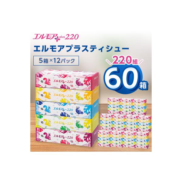 ふるさと納税 佐野市 エルモアプラスティシュー220組　5箱×12パック(60箱)【離島・沖縄県不可】