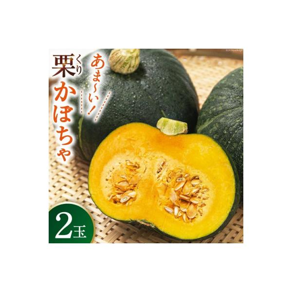 ■お礼品詳細　・配送種別：通常■お申し込み・配送・その他　・発送時期：2025-12-10〜2026-04-30（お届け時間帯指定可）　・申込受付期間：〜2026-03-31　・配達外のエリア：　・寄付証明書の送付時期目安：申込完了日から2...