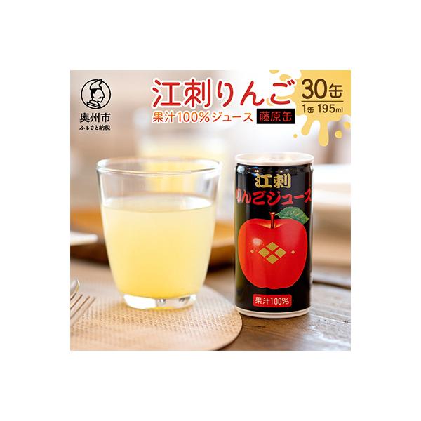 ふるさと納税 奥州市 江刺りんごジュース 藤原缶 195ml×30缶 ジョナ