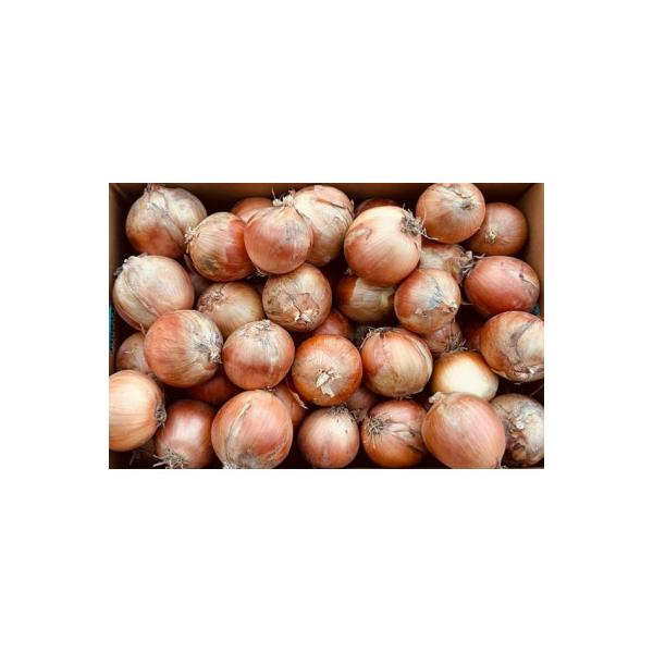 ■お礼品詳細　・配送種別：冷蔵便■お申し込み・配送・その他　・発送時期：お申し込み後1〜2週間程度で順次発送予定（お届け時間帯指定可）　・申込受付期間：〜2026-03-10　・配達外のエリア：離島　・寄付証明書の送付時期目安：申込完了日か...