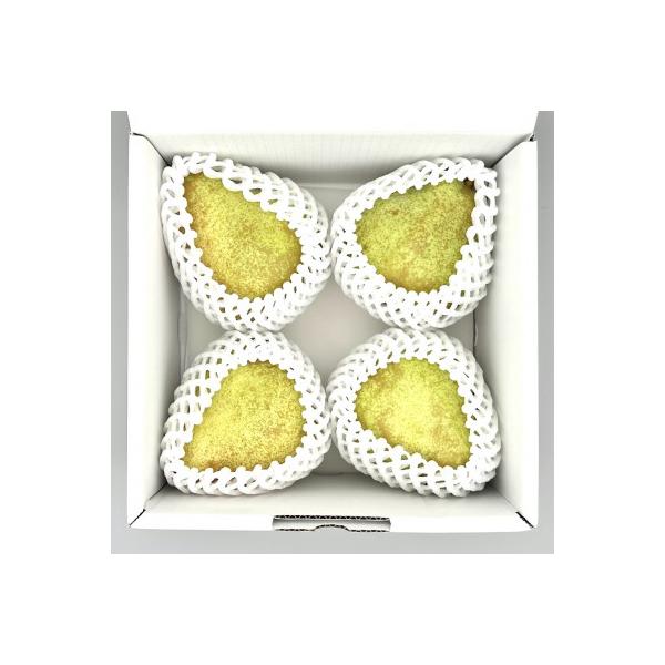 ■お礼品詳細　・配送種別：通常■お申し込み・配送・その他　・発送時期：2026-10-09〜2026-12-10（お届け時間帯指定可）　・申込受付期間：〜2026-11-30　・配達外のエリア：離島、沖縄県　・寄付証明書の送付時期目安：申込...