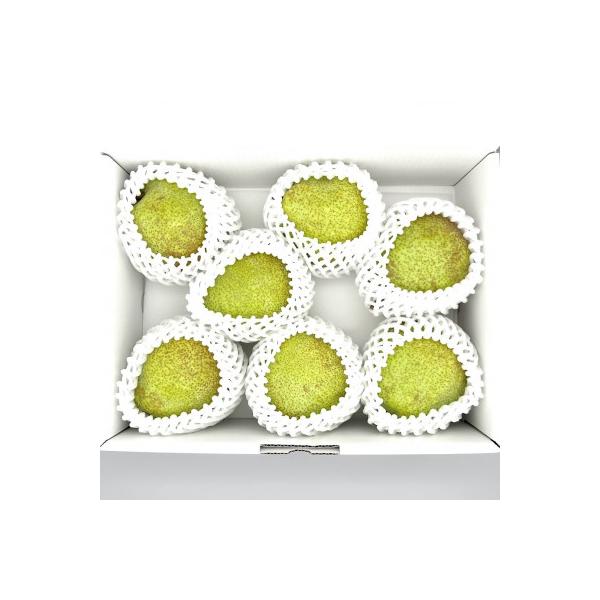 ■お礼品詳細　・配送種別：通常■お申し込み・配送・その他　・発送時期：2026-10-09〜2026-12-10（お届け時間帯指定可）　・申込受付期間：〜2026-11-30　・配達外のエリア：離島、沖縄県　・寄付証明書の送付時期目安：申込...