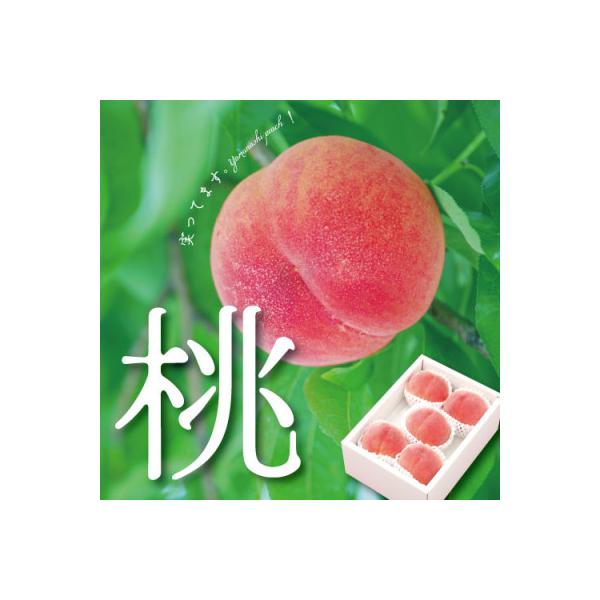 ■お礼品詳細　・配送種別：冷蔵便■お申し込み・配送・その他　・発送時期：2026-06-24〜2026-09-15（お届け時間帯指定可）　・申込受付期間：2025-06-20〜2026-07-20　・配達外のエリア：離島、沖縄県　・寄付証明...