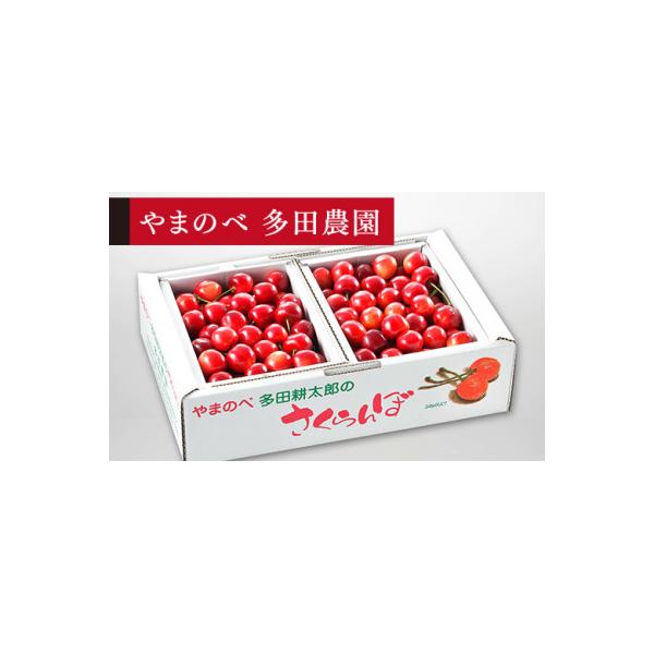 ふるさと納税 山辺町 《先行受付》2027年 山形県産 紅さやか バラ詰(パック)1kg
