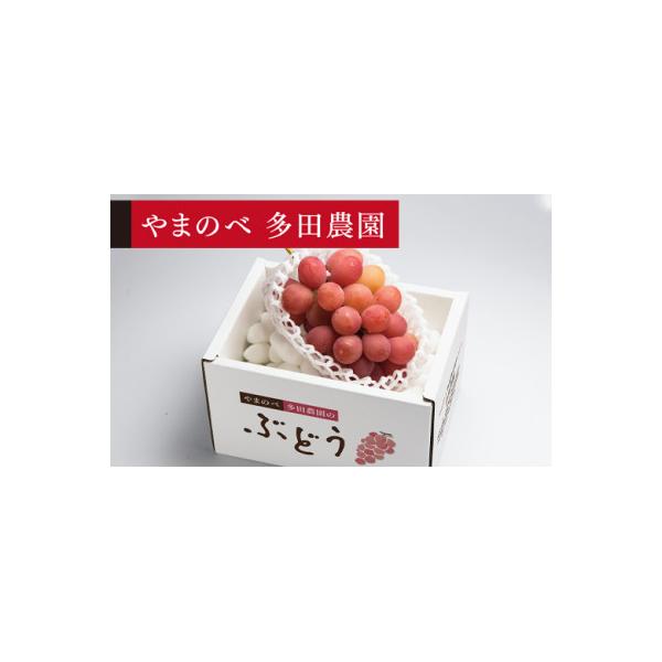 ■お礼品詳細　・配送種別：通常■お申し込み・配送・その他　・発送時期：2026/9/20〜2026/10/20（お届け時間帯指定可）　・申込受付期間：2025-12-1~2026-8-31　・配達外のエリア：　・寄付証明書の送付時期目安：申...