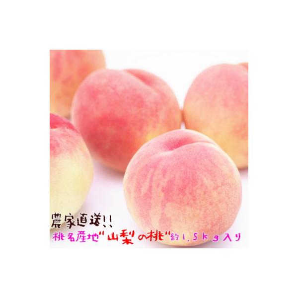 ■お礼品詳細　・配送種別：冷蔵便■お申し込み・配送・その他　・発送時期：2026-06-30〜2026-07-31（お届け時間帯指定可）　・申込受付期間：〜2026-07-20　・配達外のエリア：離島、沖縄県　・寄付証明書の送付時期目安：申...