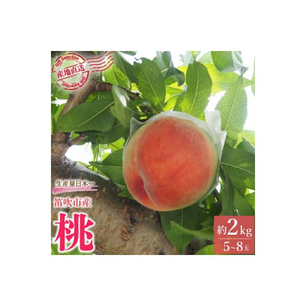 ■お礼品詳細　・配送種別：冷蔵便■お申し込み・配送・その他　・発送時期：2026-06-28〜2026-08-31（お届け時間帯指定可）　・申込受付期間：2025-10-18〜2026-08-15　・配達外のエリア：離島、沖縄県　・寄付証明...