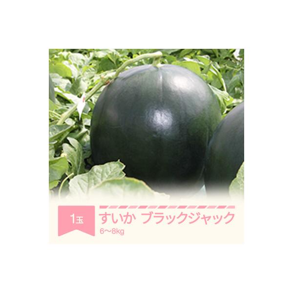 ■お礼品詳細　・配送種別：通常■お申し込み・配送・その他　・発送時期：2026-07-20〜2026-08-14（お届け時間帯指定可）　・申込受付期間：〜2026-06-30　・配達外のエリア：離島、沖縄県　・寄付証明書の送付時期目安：申込...