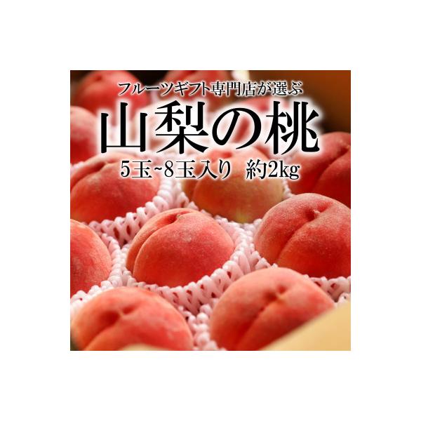 ■お礼品詳細　・配送種別：冷蔵便■お申し込み・配送・その他　・発送時期：2026-07-10〜2026-08-31（お届け時間帯指定可）　・申込受付期間：〜2026-07-31　・配達外のエリア：離島、沖縄県　・寄付証明書の送付時期目安：申...