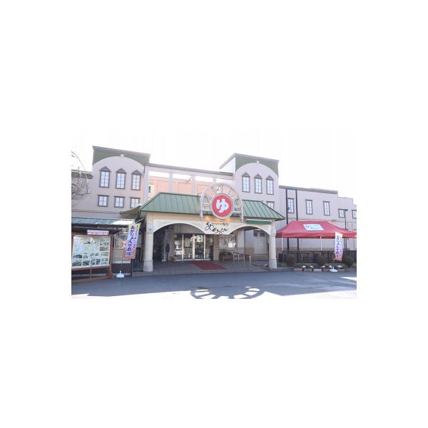 ふるさと納税 大津市 スパリゾート雄琴あがりゃんせと天然源泉の宿ことゆうで使える金券　1000円券×15枚