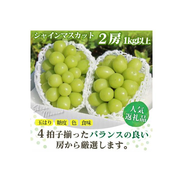 ふるさと納税 笛吹市 【2026年発送】山梨県 シャインマスカット 2房