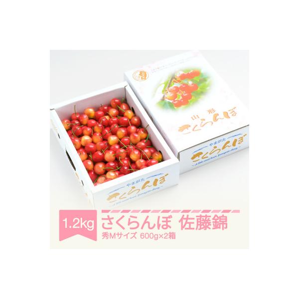 ■お礼品詳細　・配送種別：冷蔵便■お申し込み・配送・その他　・発送時期：2026-06-11〜2026-06-30（お届け時間帯指定可）　・申込受付期間：〜2026-06-03　・配達外のエリア：離島、沖縄県、中国、九州　・寄付証明書の送付...
