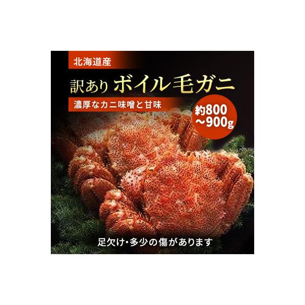 ふるさと納税 標津町 北海道道東産　B品ボイル毛ガニ　800〜900g