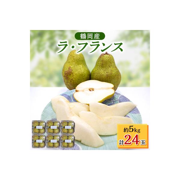 ふるさと納税 鶴岡市 ラ・フランス　4玉入りパック×6　約5kg