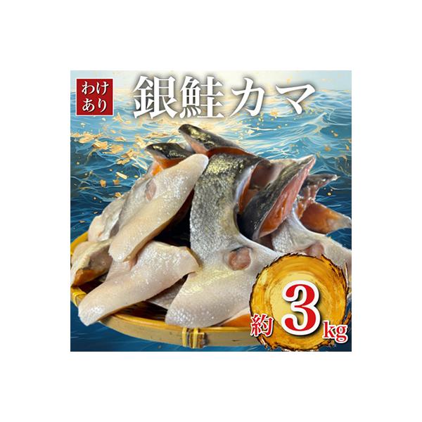 ふるさと納税 いすみ市 【訳あり】人気海鮮お礼品 銀鮭カマ 約3kg