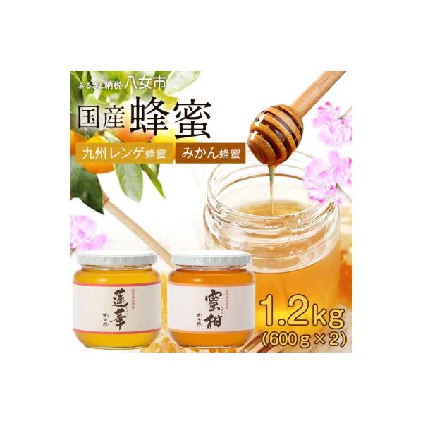 ふるさと納税 八女市 かの蜂の国産はちみつ 2種 1.2kg(レンゲ蜂蜜600g 
